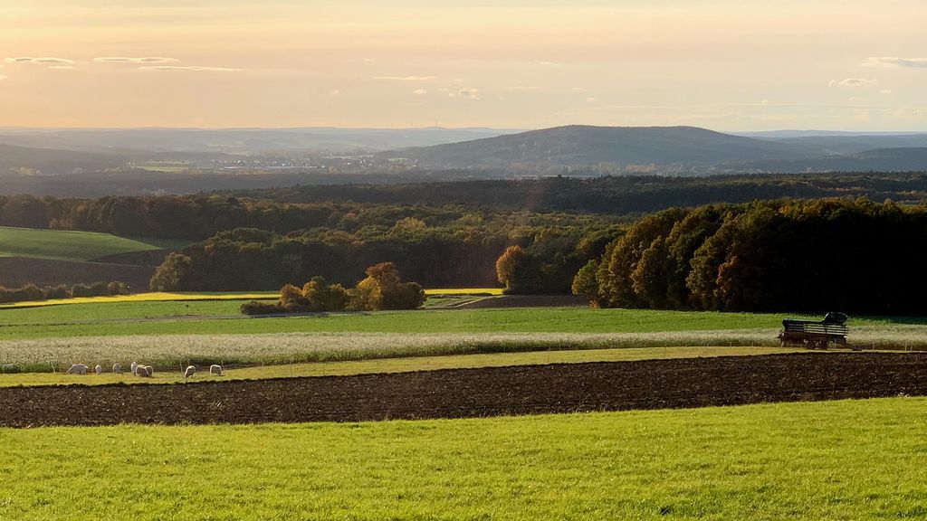 Weite Feld- und Waldlandschaft bei Frensdorf in der Abendsonne